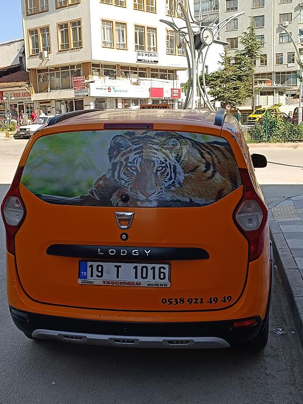 Sungurlu Taksi, 19T1016 plakalı sarı  Dacia  Lody  - Fotoğraf 6