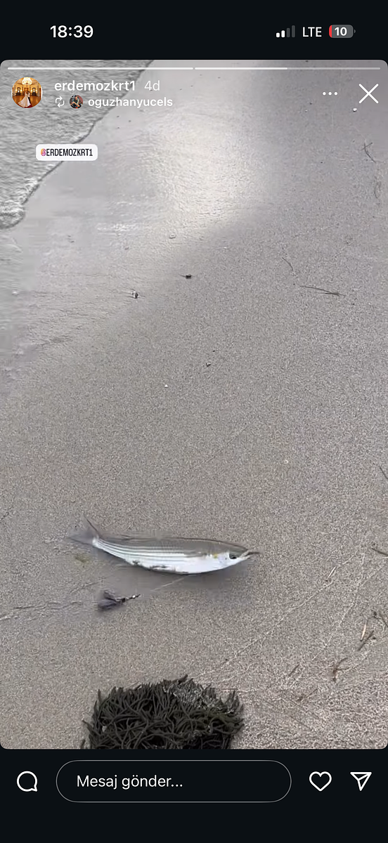 59T2520 - 59t2520 - Fotoğraf 2